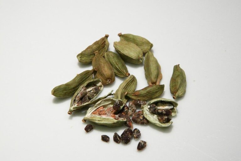 cardamom, spices, cooking-674506.jpg
